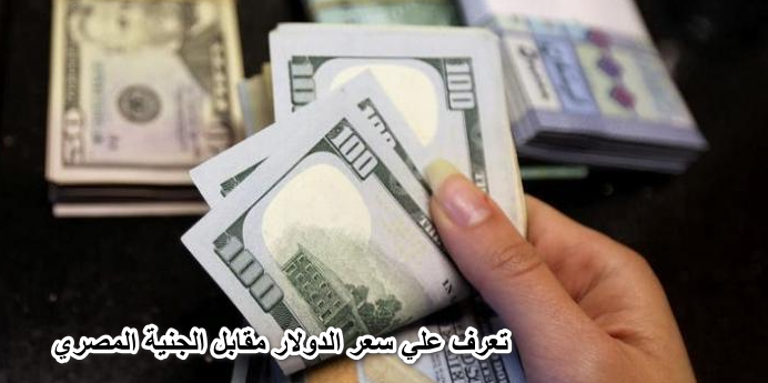 سعر الدولار والريال مقابل الجنيه المصري